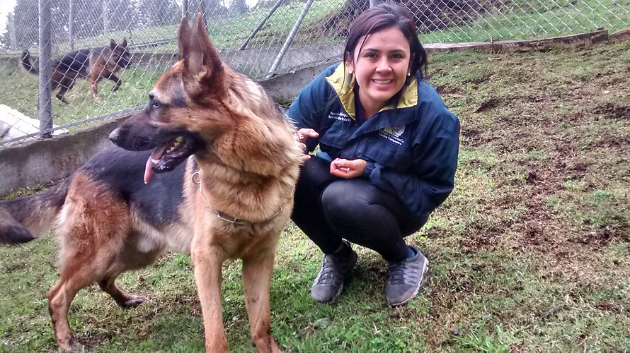Animal Shelter