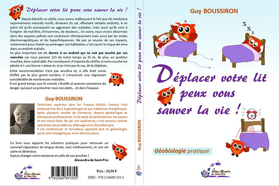Maquette de couverture 05.06.jpg