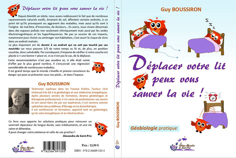 Maquette de couverture 05.06.jpg