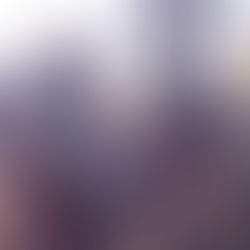 First Ever Blue Star Blog Post - 2011!