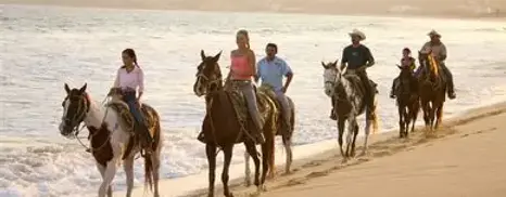 caballos.webp