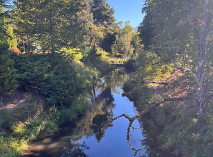 Japanese Garden Stream.heif