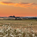 Sunset over wildflowers in Oregon
