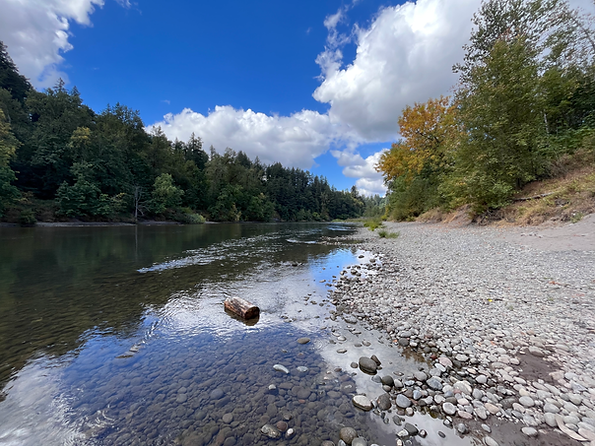 Dabney River 2.heic