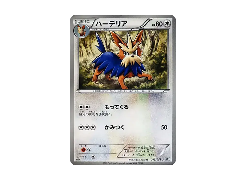 Herdier BW1 043/053