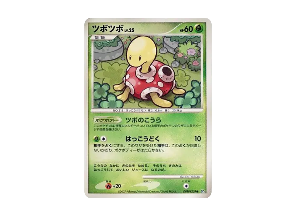 Shuckle DP3 #259