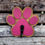 Thumbnail: Paw Shaped Leash Holder