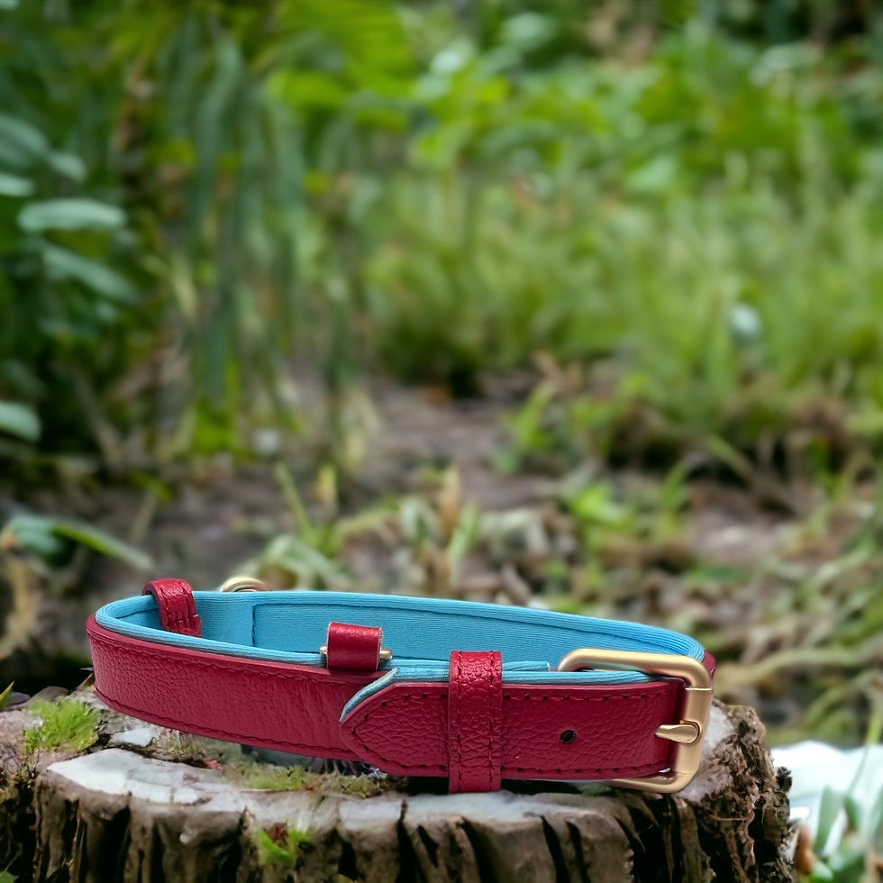 Thumbnail: Personalized Leather Buckle Collars