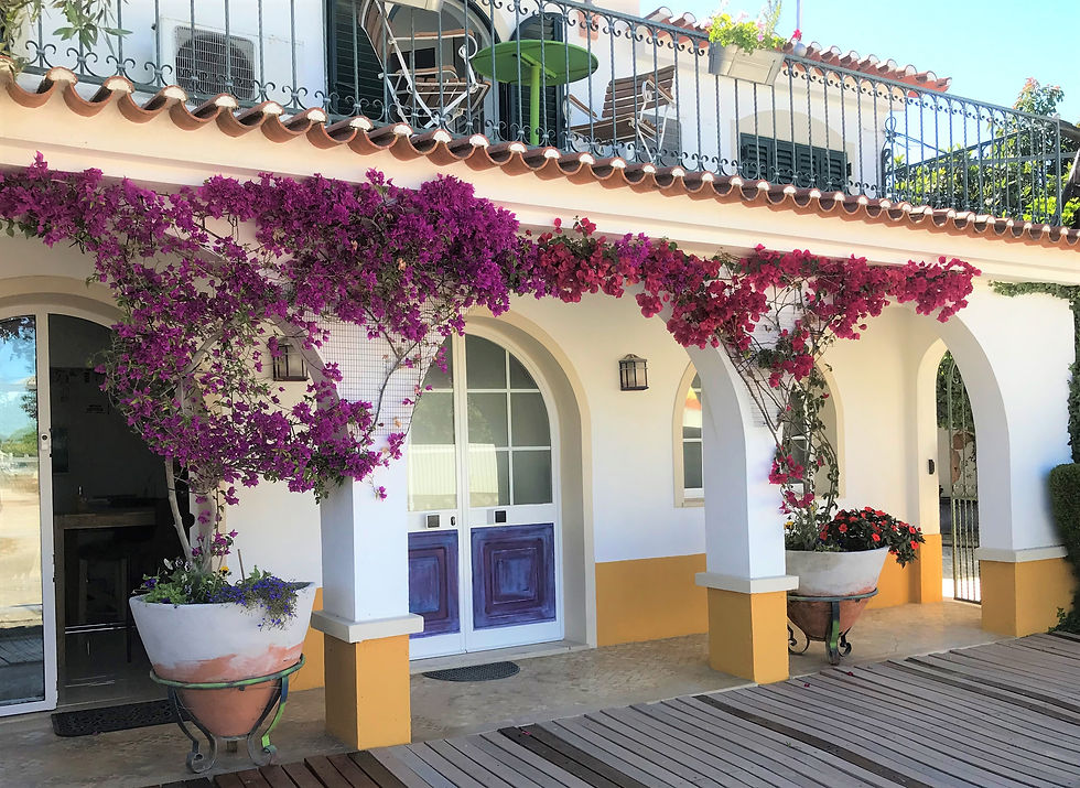O Patio AL recepção