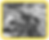 image_segnung.png