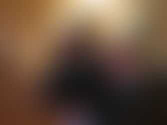 Conférence du 1er vice-président du Sénat M. Philippe DALLIER sur le projet de loi ELAN