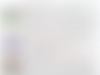 Lettre info sénat 2 (décembre 2020)