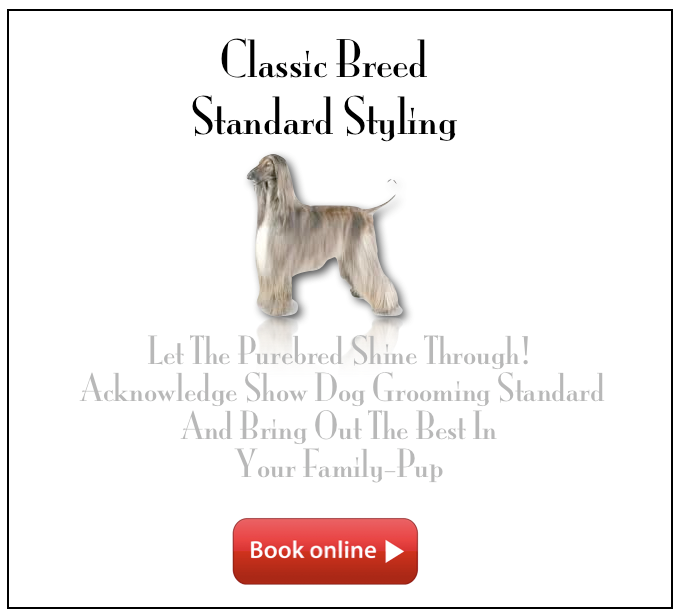 Classic Breed Standard Styling