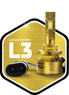 L3 logo.png