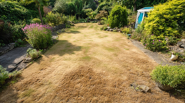 ProtectGardenWeather.jpg