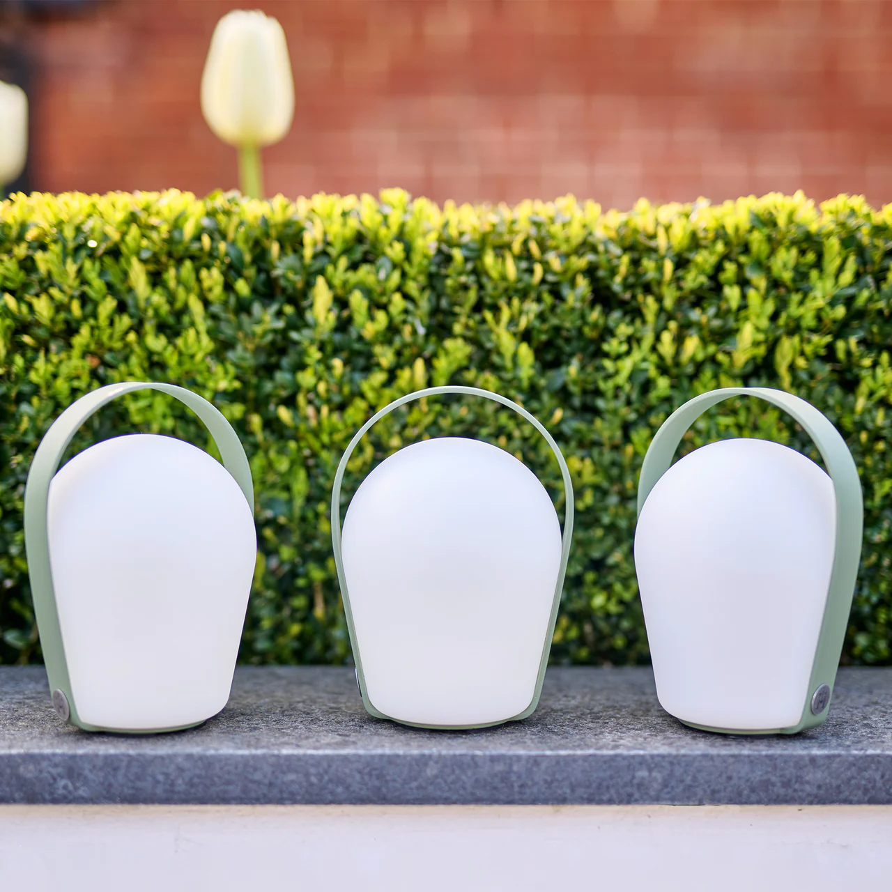 green-bob-light-small.jpg.webp