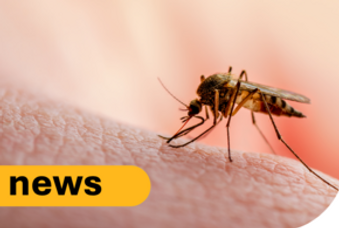 s300_WNV_mosquito_news.png