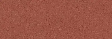 533-8245-Cinnabar.jpg.webp