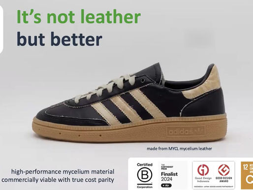 Revolutionizing the Global Materials Industry with Mushroom Mycelium: The Challenge of MYCL, a Biotech Startup from the National University of Singapore