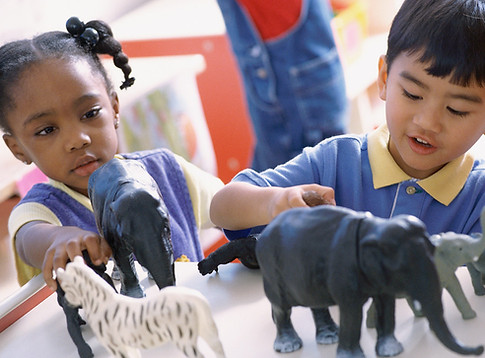 Playing with Animals