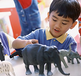 Playing with Animals