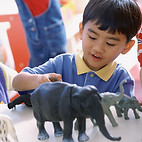 Playing with Animals
