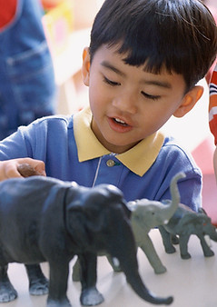 Playing with Animals