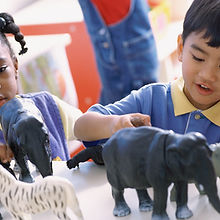 Playing with Animals