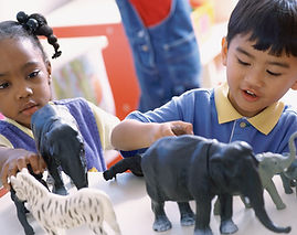 Playing with Animals