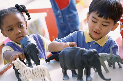 Playing with Animals