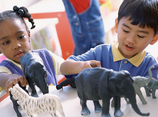 Playing with Animals