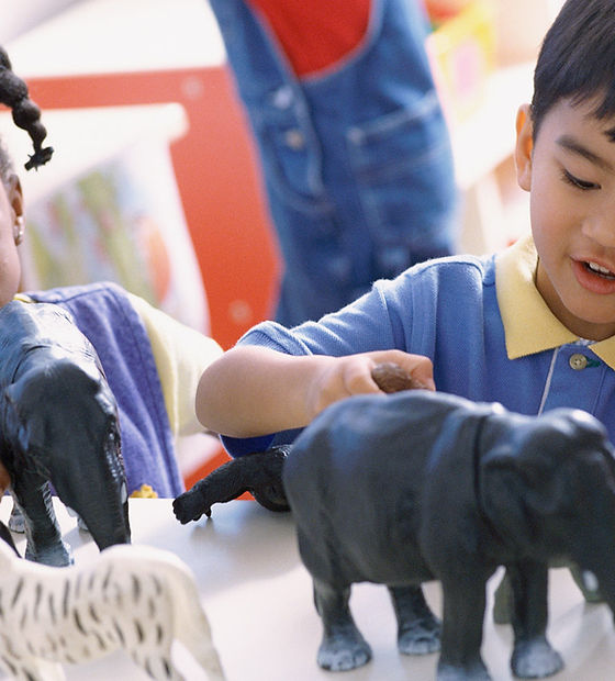 Playing with Animals