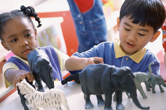 Playing with Animals