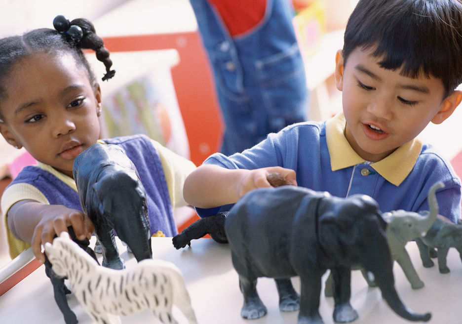 동물과 함께 재생