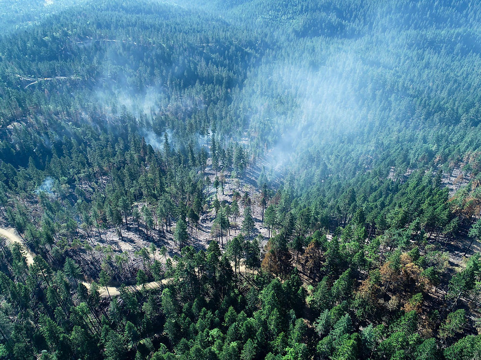 Wildland Fire and UAS