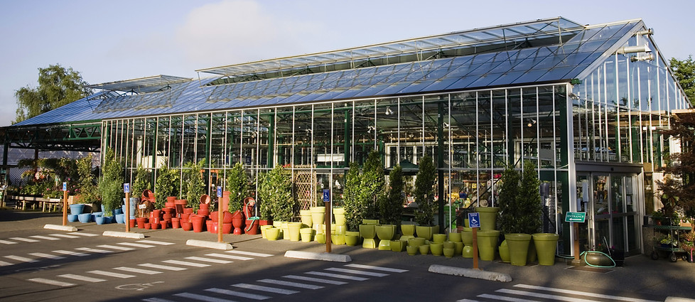 Plant Nursery