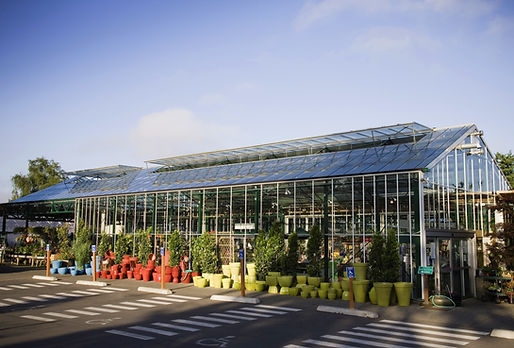 Planteskole eller gartneri