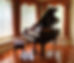 Stunning new Alex.Steinbach Le Classique grand piano