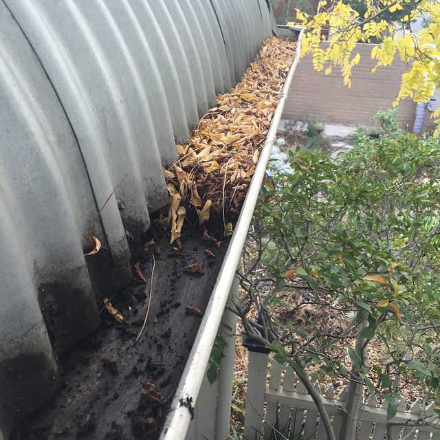 Gutter cleaning in progress