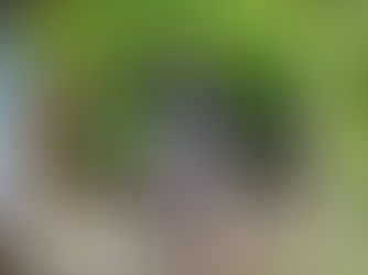 Discover the Surprising Benefits of Seasonal Exterior House Cleaning: Get Ready to Be Amazed!