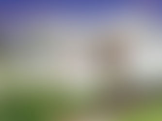 Want to add value to your property at point of sale? Real Estate Agents-contact us now!