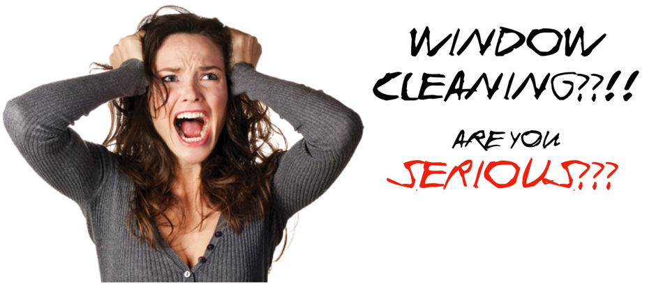 GAHHHHH!!! Winter window cleaning??? Actually, its not the worst thing you could do...๐ง