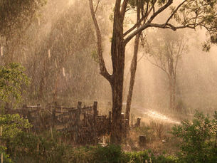 Winter window cleaning...'I’m not getting the windows done because its going to rain this week..