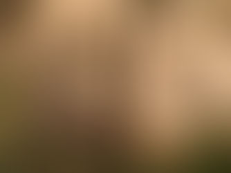 Winter window cleaning...'I’m not getting the windows done because its going to rain this week..