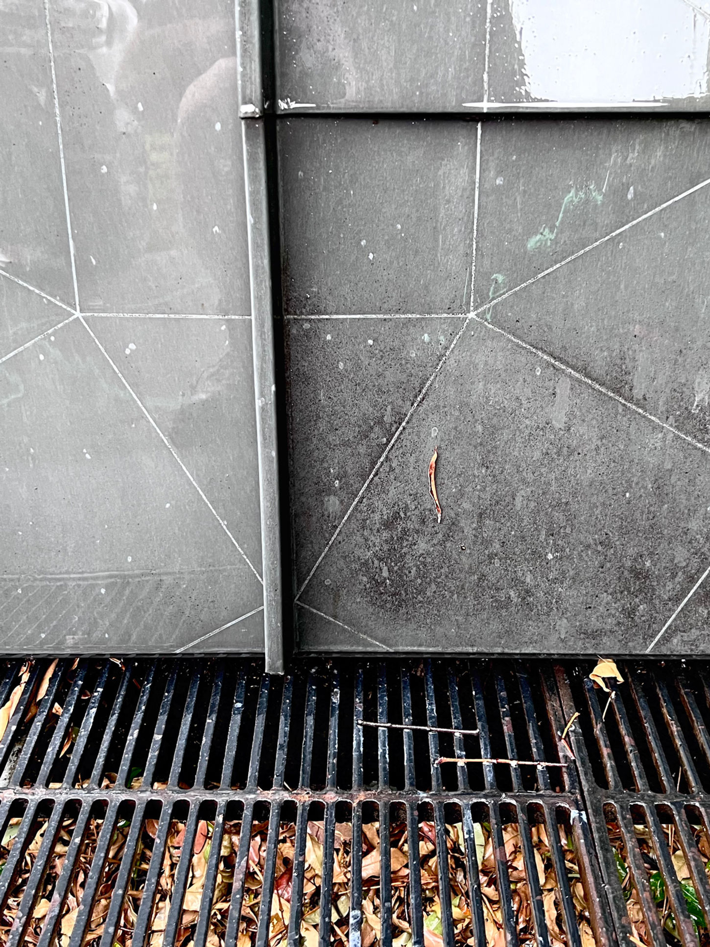 Zincalume cladding and courtyard exterior clean, Wynnstay Rd, Prahran, Melbourne (photo 5)