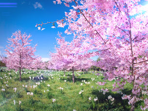 Spring is upon us! FINALLY Melbourne!!