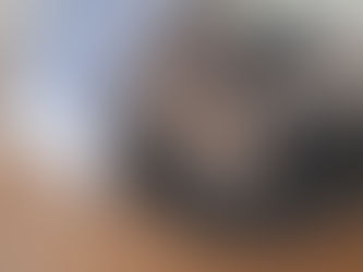 "Catering" to its ego <3