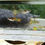 Thumbnail: 6 Mixed Endler Livebearer (Poecilia wingei) Live Freshwater Aquarium Fish