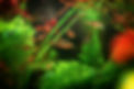 AdobeStock_462492180.jpeg