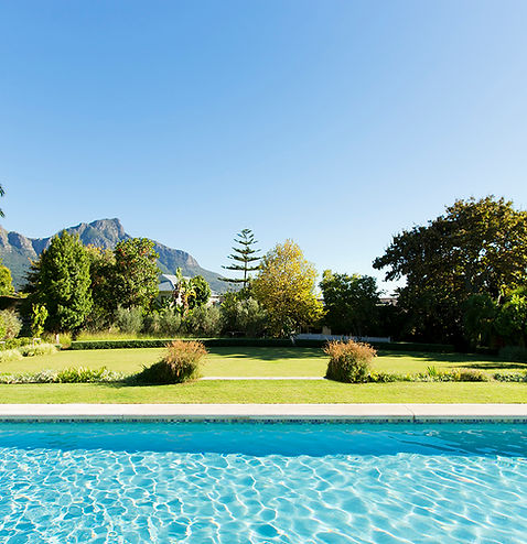 Inground pool contrasted by a woodsy nature landscape 